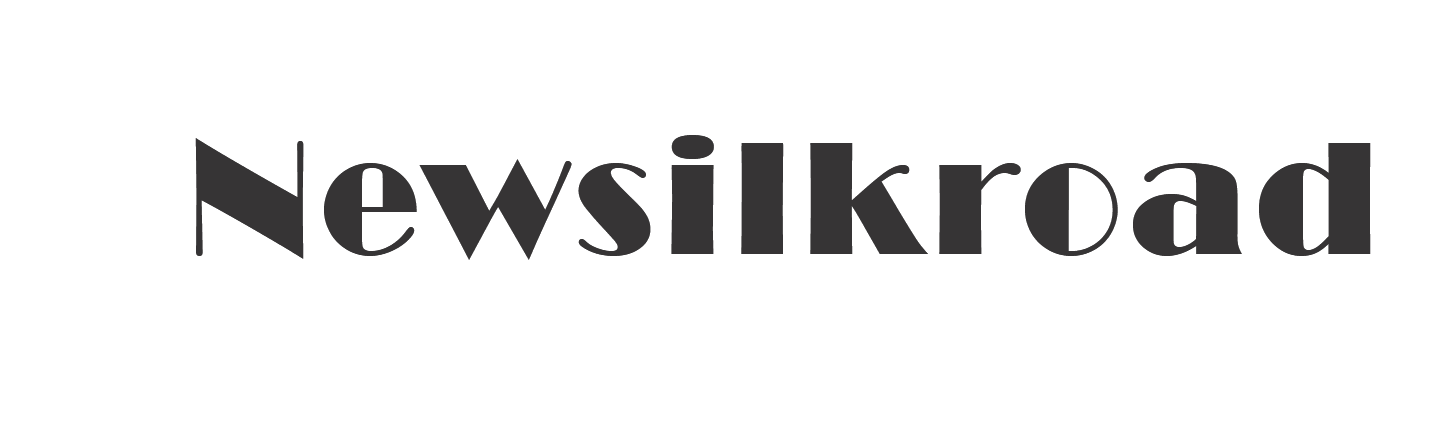 https://newsilkroad.com.tr/wp-content/uploads/2025/05/brand_logo_banner.png